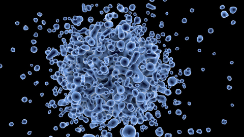bacteria_1