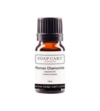 Roman Chamomile