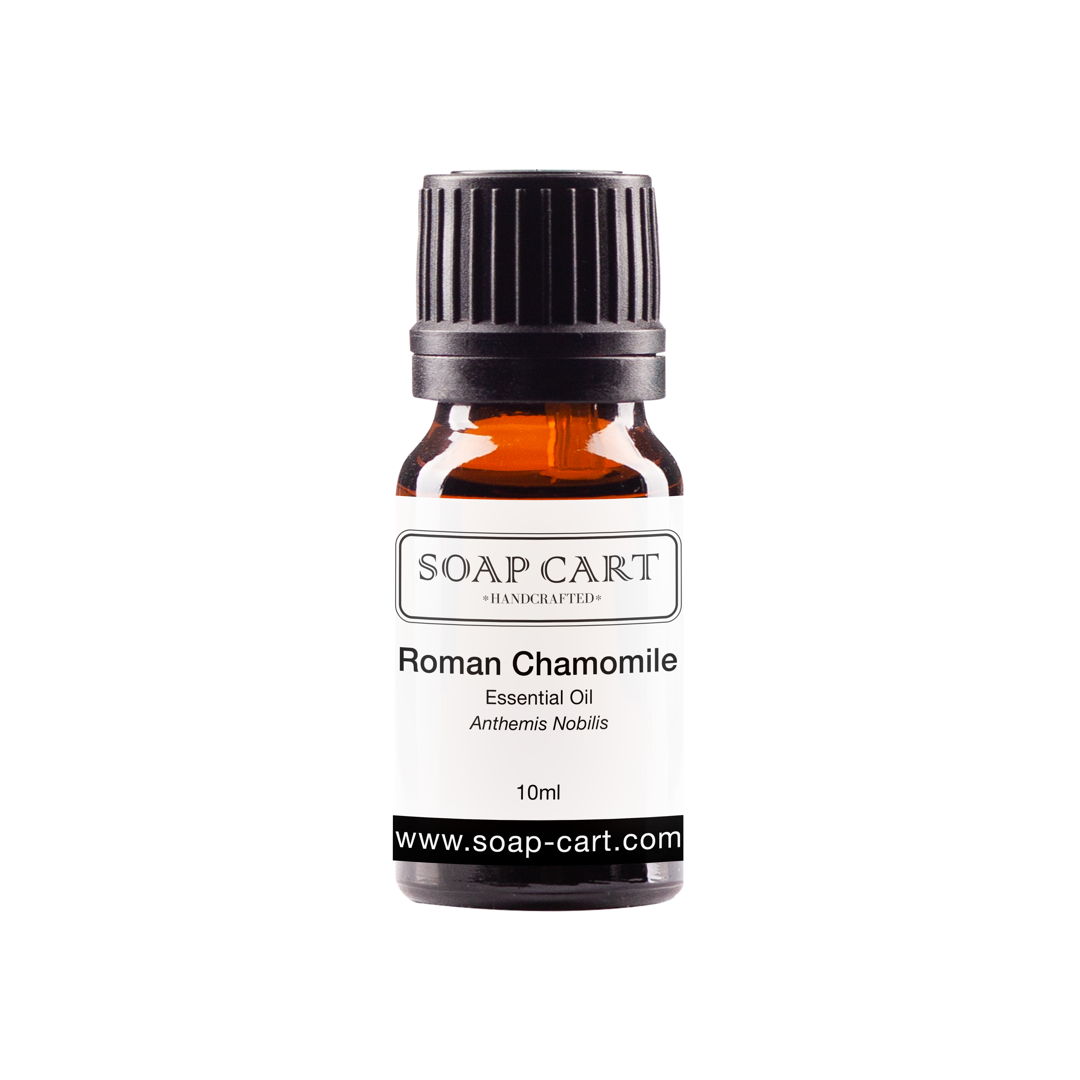 Roman Chamomile