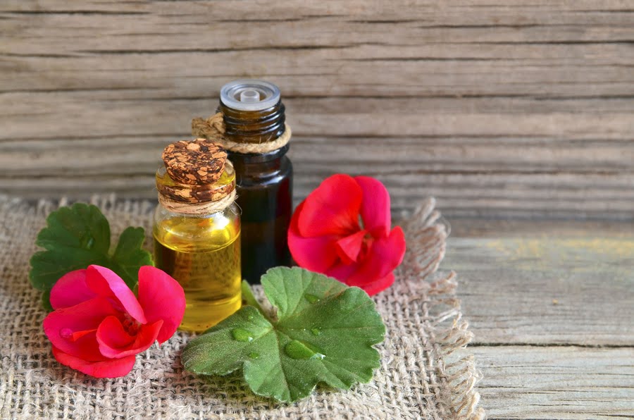 geranium-essential-oil-glass-bottle-with-flower