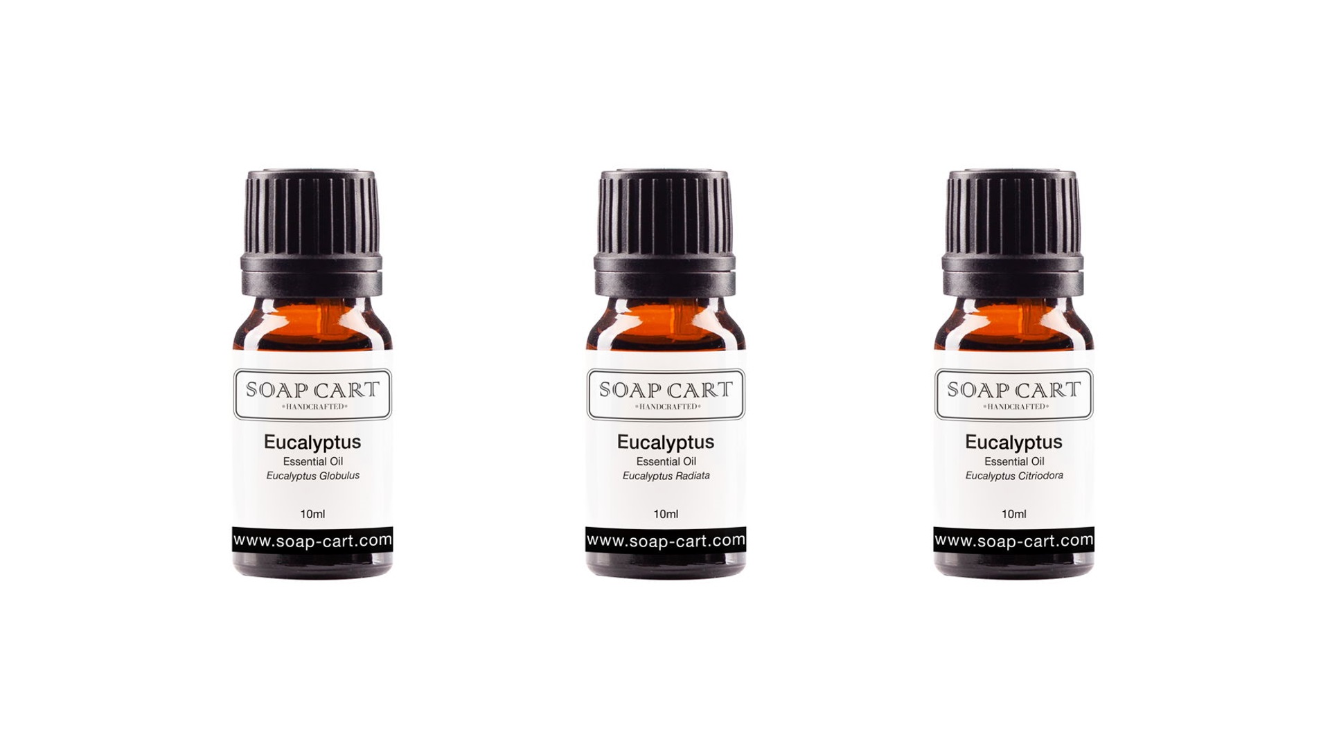 Differences of Eucalyptus Oil2