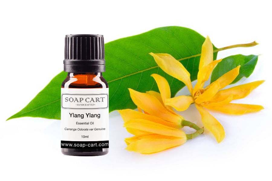 Ylang-ylang Blog