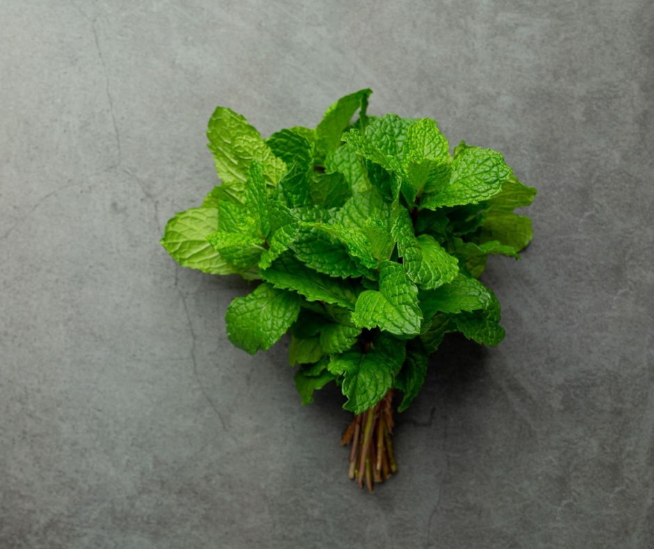 Spearmint Leaves