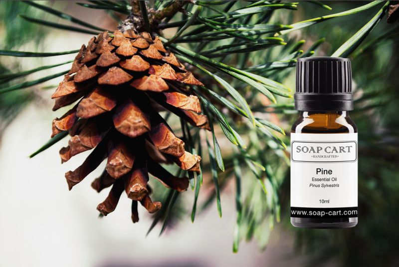 PineBlog