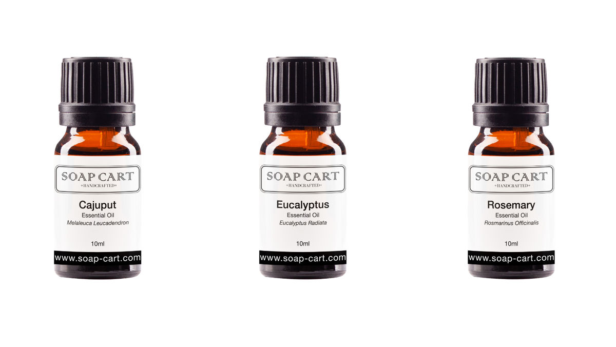 Eucalyptus radiata x rosemary x cajuput