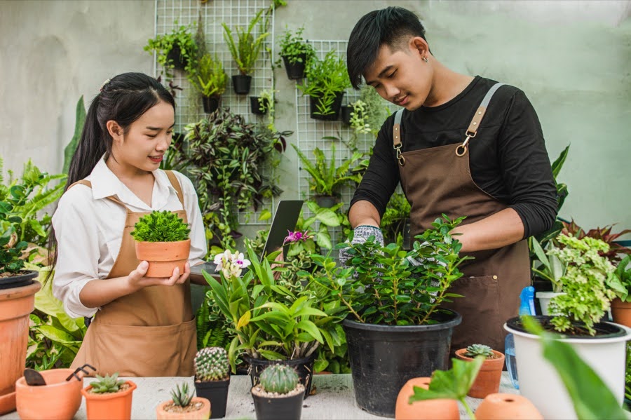 Essential Oils for Your Garden