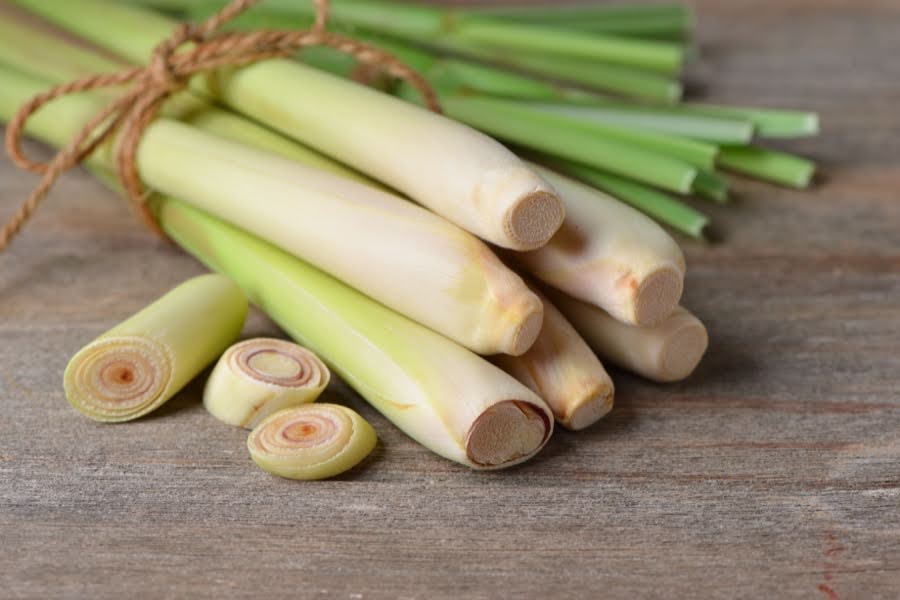 Close-up fresh lemongrass with sliced on wood.