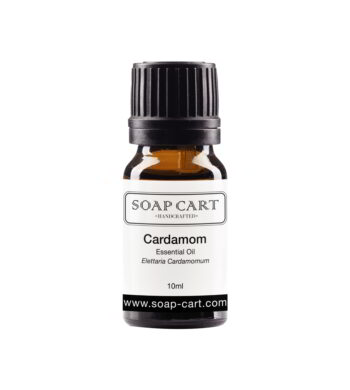 Cardamom Essential Oil