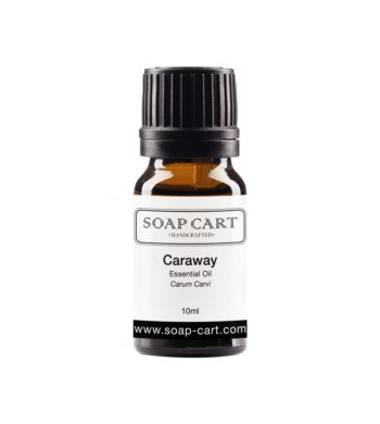 Caraway Essential Oil