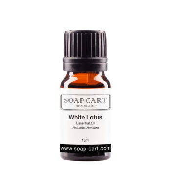 white lotus-10ml