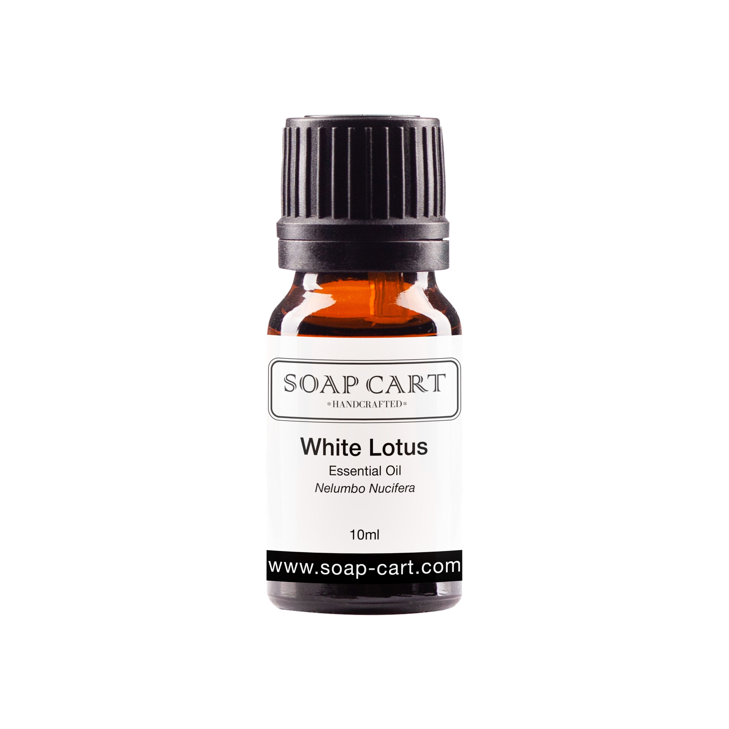 white lotus-10ml